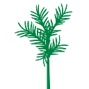 Purposeful Planning Institute (PPI) logo