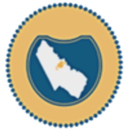 avatar logo