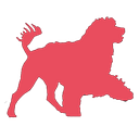 Portuguese Water Dog Foundation logo
