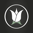 bloomr-qatar