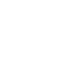 Quantum Services Group logo