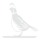 QUAIL RIDGE GOLF WORLD