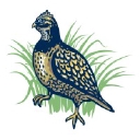 Quail Tools logo