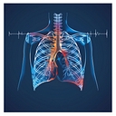 Quality Medical Imaging