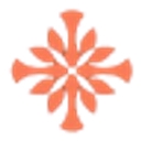 Quantified Skin logo