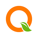 QUANTUM FOUNDATION INC logo