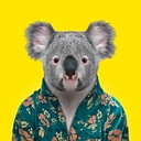 queensland logo
