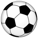 quinielaposible.com logo