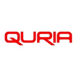 Q Solutions, LLC logo