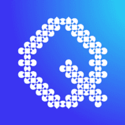 Quantum Vision Holdings Inc (USA) logo