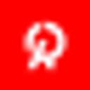Race Capital logo