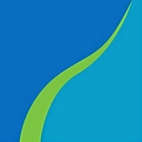 Rochester Area Community Foundation logo