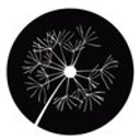Rebecca a Copeland Fund logo