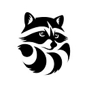 RACOON STUDIO
