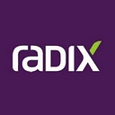 Radix Engineering And Software logo