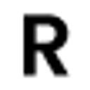 Radney Management logo