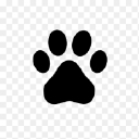 Raintree Veterinary Clinic and Rehabilitation Centre logo