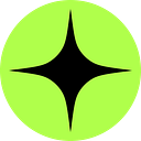 Raizer logo