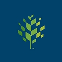 Raleigh village logo