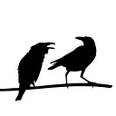 Favicon of Ralph Daub Photography