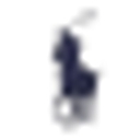 Ralph Lauren IE logo