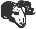 Ram Medical Inc logo