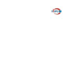 RAMPS INTERNATIONAL logo