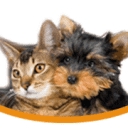 Randhurst Animal Hospital logo