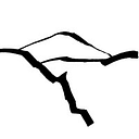 The Randolph Foundation logo