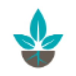 Rapacki and Co PA logo