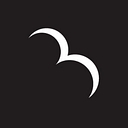 Rare Bird, Inc. logo