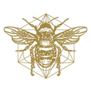 rarehoney.com logo