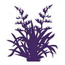 Raumati South School logo