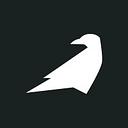 Raven Health logo