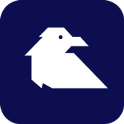 RavenRisk AI Logo