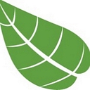 Favicon of Rayne Nutrition