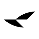 RayNeo