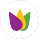 R&B Advisory Solutions logo