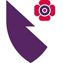 The Royal College Of Emergency Medicine logo