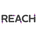 Reach Pathways logo