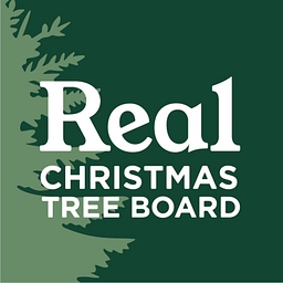 Real Christmas Tree Board