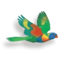 Sextonglover Pty Ltd logo