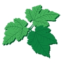Realty Landscaping logo