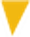 Real Vision Software, Inc. logo