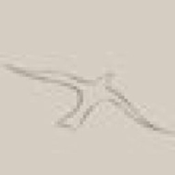 Red Rocks Nursing Home Ltd logo