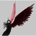 Red Angel logo