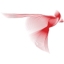 RedBird Capital Partners