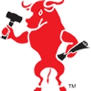 Red Bull Development logo