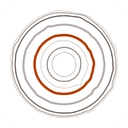 Red Cedar Investment Management, Llc logo