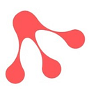 Red Frog Solutions logo